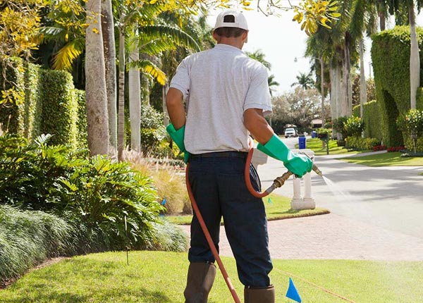 About Sewickley PA Pest Control Pros